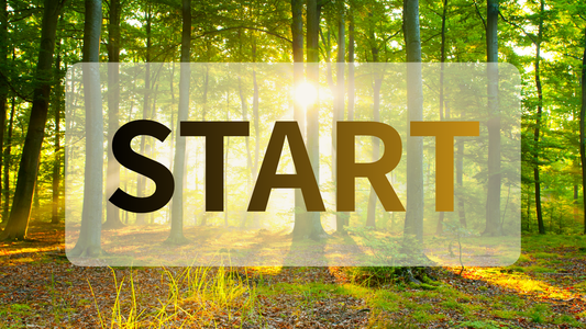 心機一転。今日から、本気で、